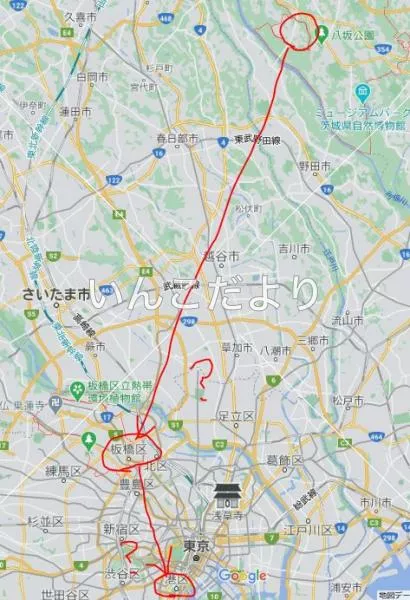 コメントの画像