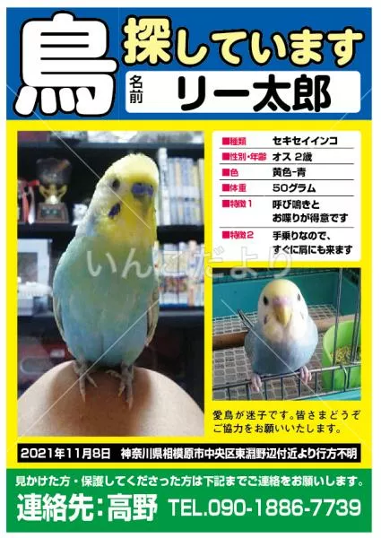 コメントの画像