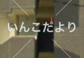 コメントの画像