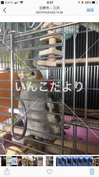 コメントの画像