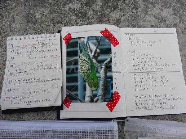コメントの画像