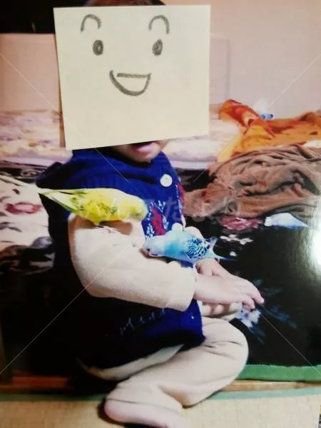 コメントの画像