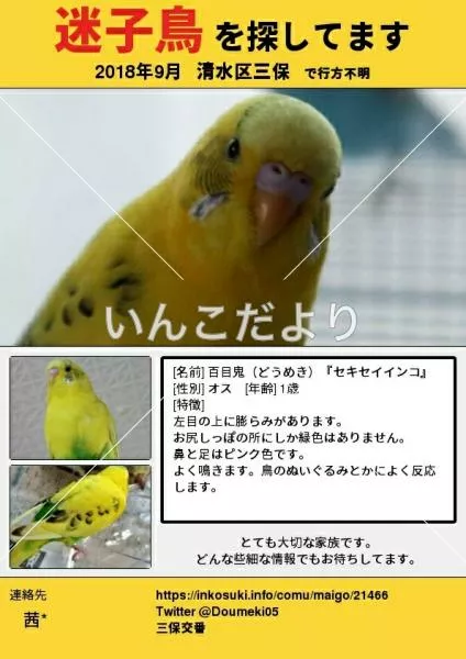 コメントの画像