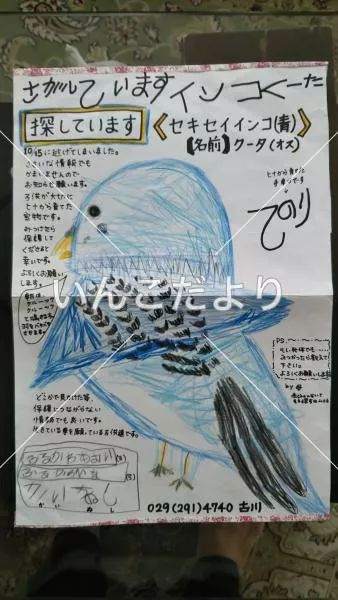 コメントの画像