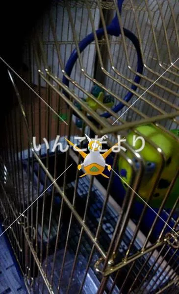 コメントの画像