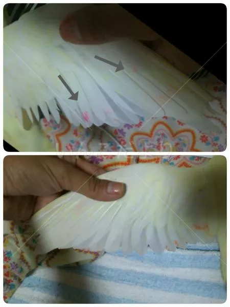 コメントの画像