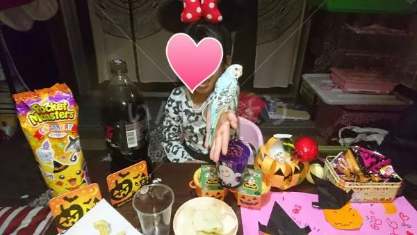 コメントの画像