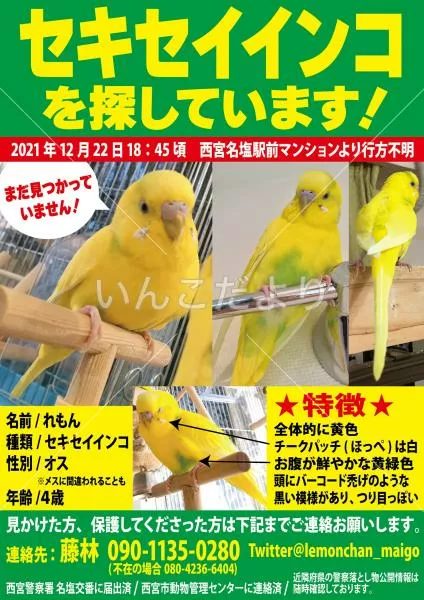 コメントの画像