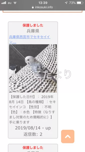 コメントの画像