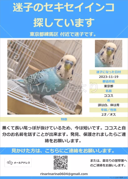 コメントの画像