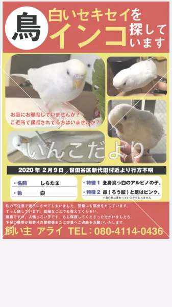 コメントの画像