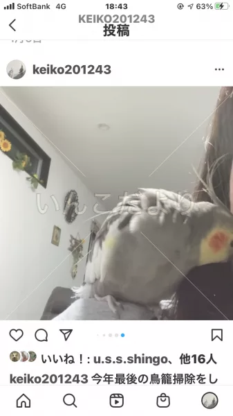 コメントの画像