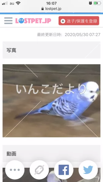 コメントの画像