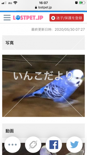 コメントの画像