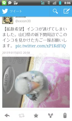 コメントの画像