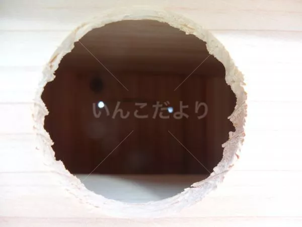 コメントの画像