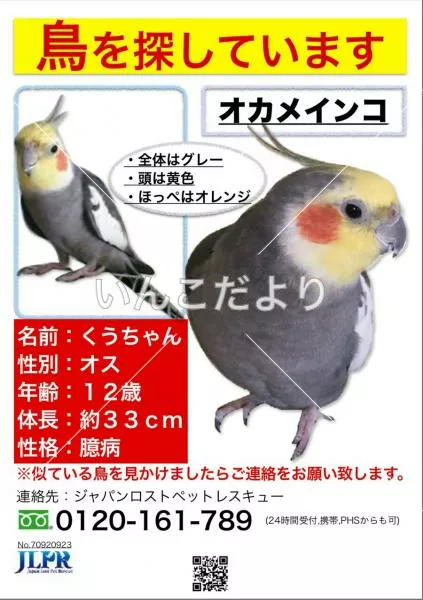 コメントの画像