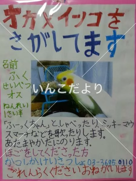 コメントの画像