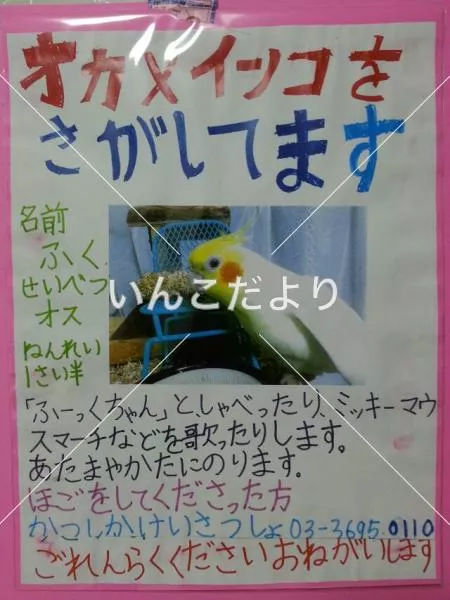 コメントの画像