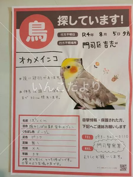 コメントの画像