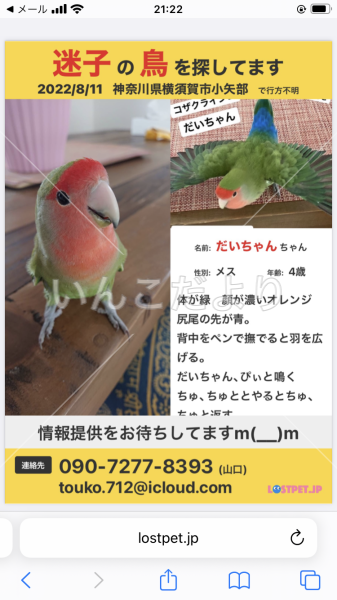 コメントの画像