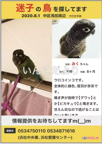 コメントの画像