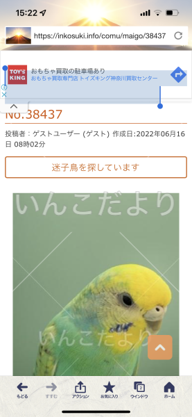 コメントの画像