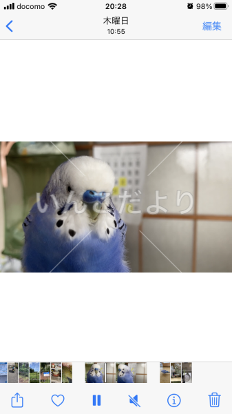 コメントの画像