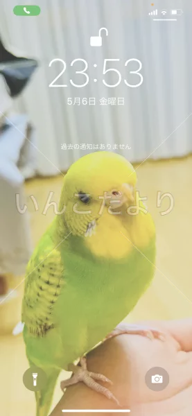 コメントの画像