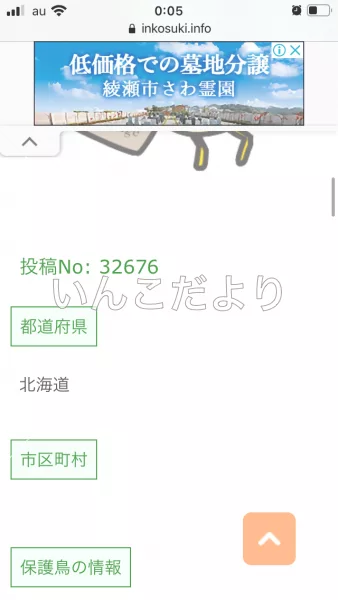 コメントの画像