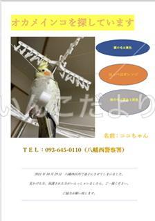 コメントの画像