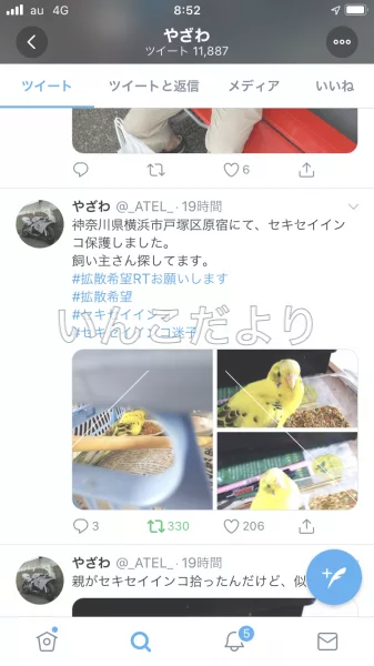 コメントの画像