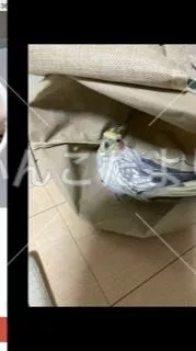 コメントの画像