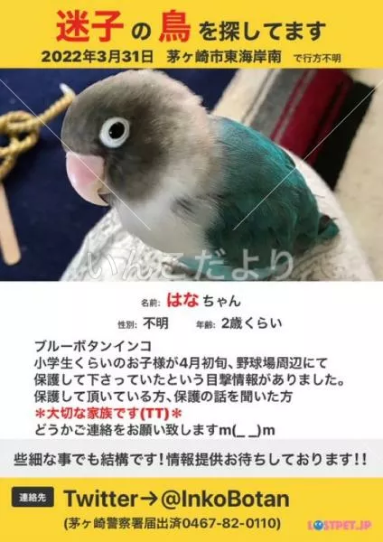 コメントの画像