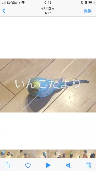 コメントの画像