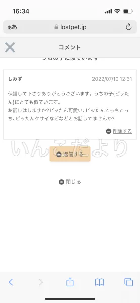 コメントの画像