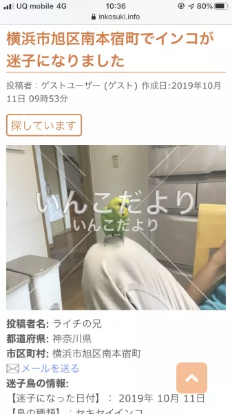 コメントの画像