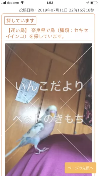 コメントの画像