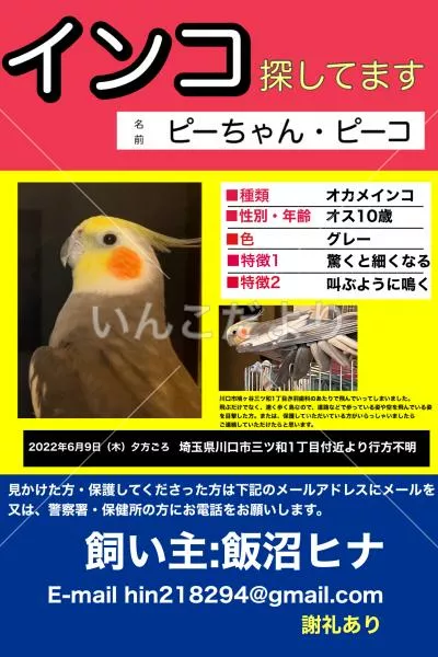 コメントの画像