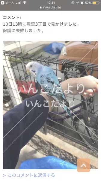 コメントの画像