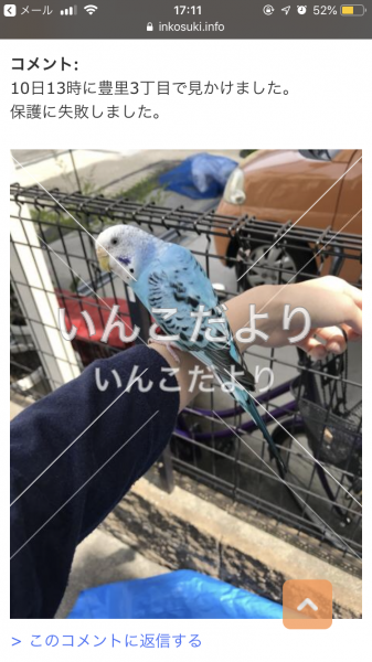 コメントの画像