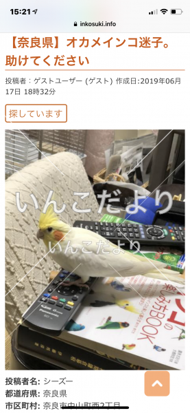 コメントの画像