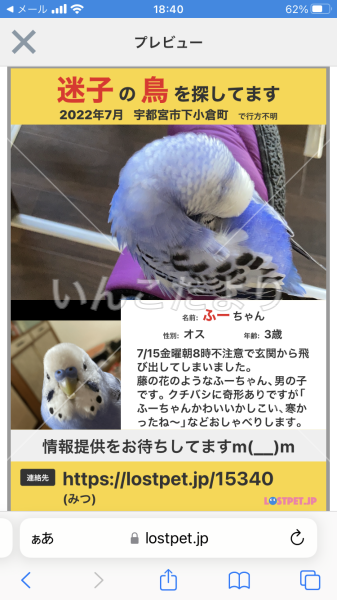 コメントの画像