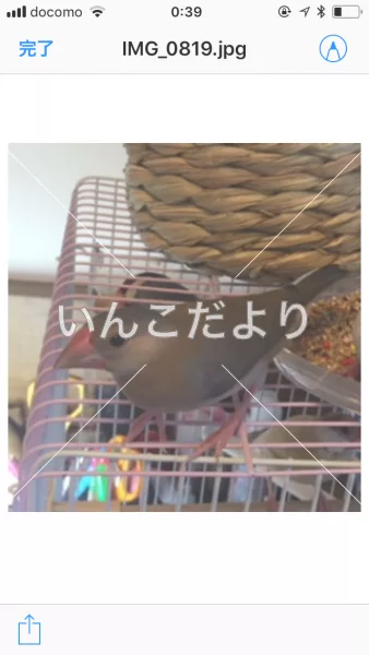 コメントの画像