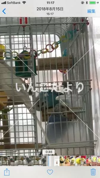 コメントの画像