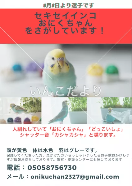 コメントの画像