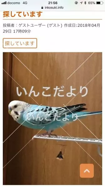 コメントの画像