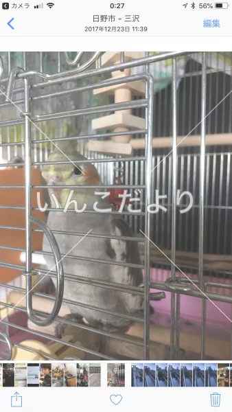 コメントの画像