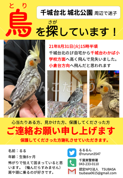 コメントの画像