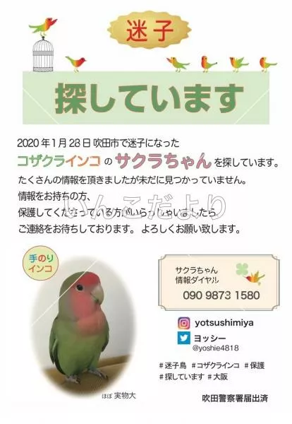 コメントの画像